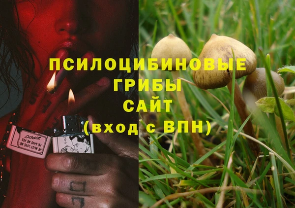 дурь Алексин