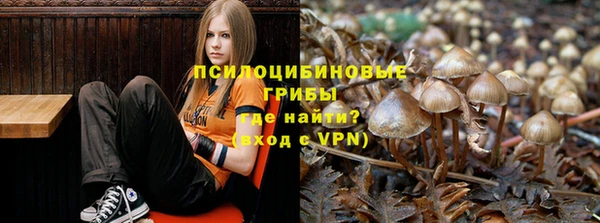 прущие крисы Алексеевка